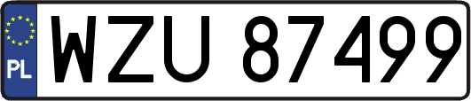 WZU87499