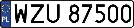 WZU87500