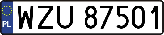 WZU87501