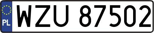 WZU87502
