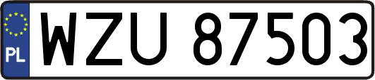 WZU87503