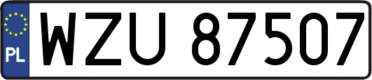 WZU87507