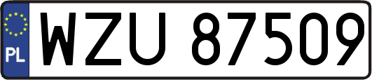 WZU87509