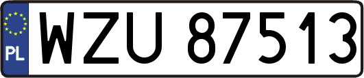 WZU87513