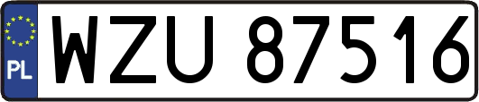 WZU87516