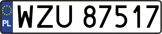 WZU87517