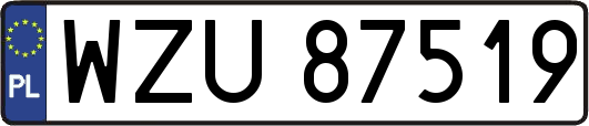 WZU87519