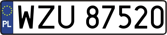 WZU87520