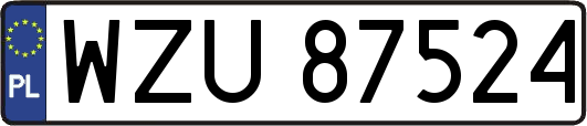 WZU87524
