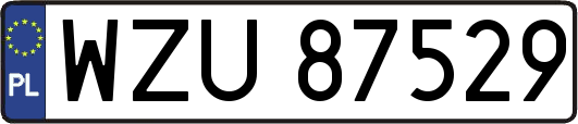 WZU87529