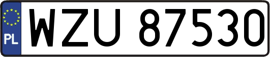 WZU87530