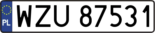 WZU87531
