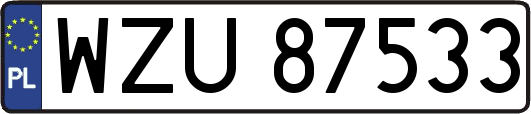 WZU87533