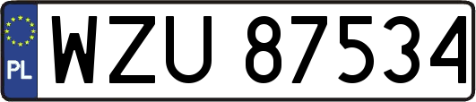 WZU87534