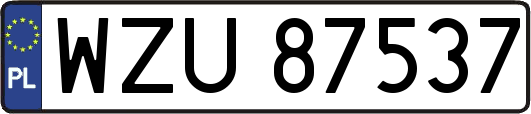 WZU87537