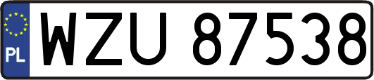 WZU87538
