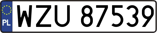 WZU87539