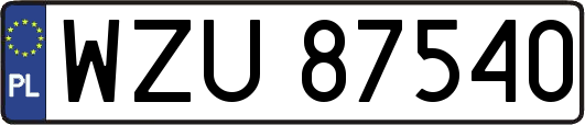 WZU87540