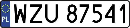 WZU87541