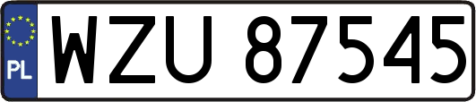 WZU87545