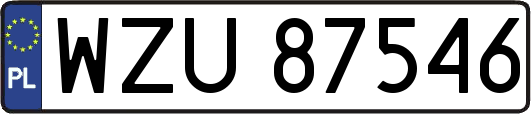 WZU87546