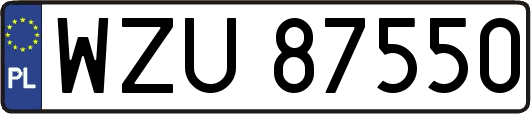 WZU87550