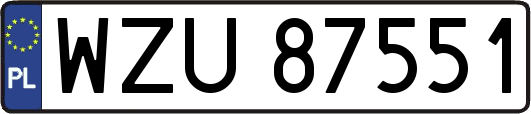 WZU87551