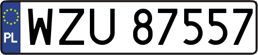 WZU87557