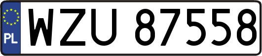 WZU87558