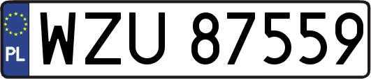 WZU87559