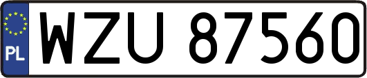 WZU87560