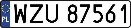 WZU87561