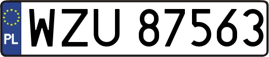 WZU87563