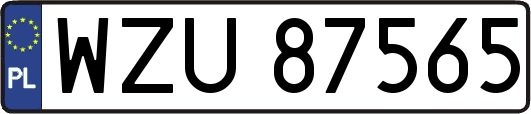 WZU87565