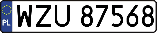 WZU87568