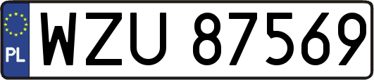 WZU87569