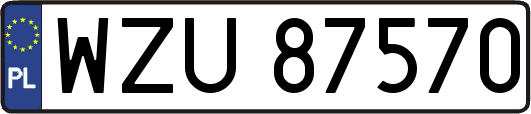 WZU87570