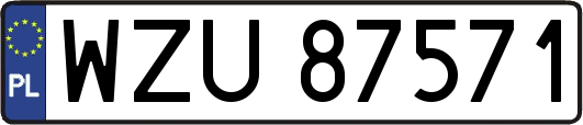 WZU87571
