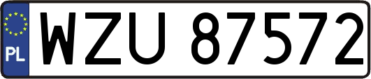 WZU87572