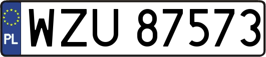 WZU87573