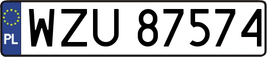 WZU87574