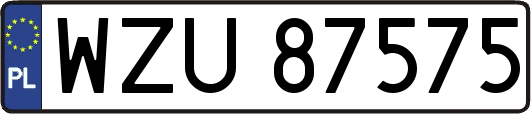 WZU87575