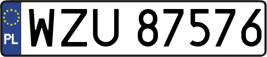 WZU87576