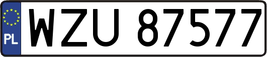 WZU87577