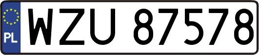 WZU87578