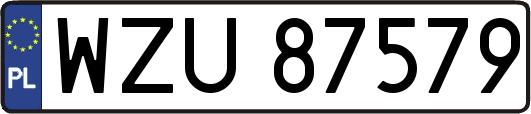 WZU87579
