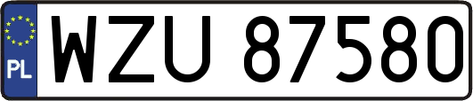 WZU87580