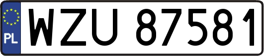 WZU87581