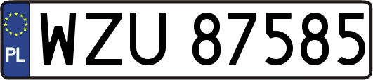 WZU87585