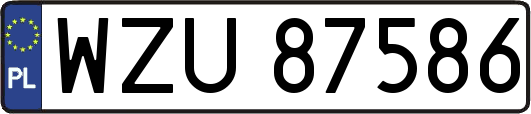 WZU87586